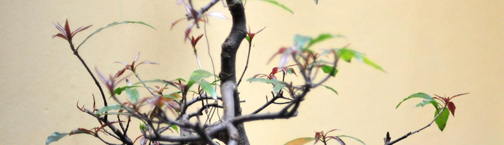 Knowledge Are to Be Shared